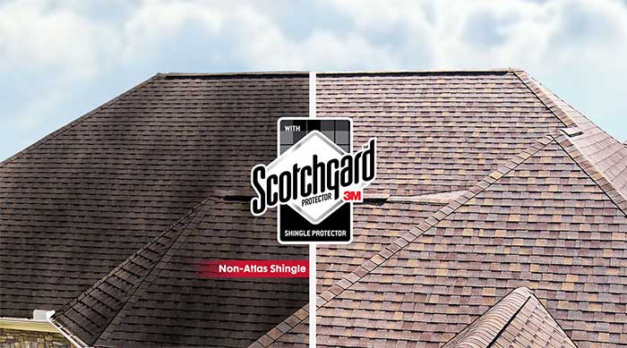 What Makes Alexandria Roofing Stand Out From The Competition